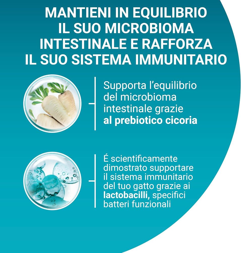 PURINA ONE Sterilcat Cibo secco per Gatti Adulti sterilizzati con Manzo e Frumento sacco da 800g