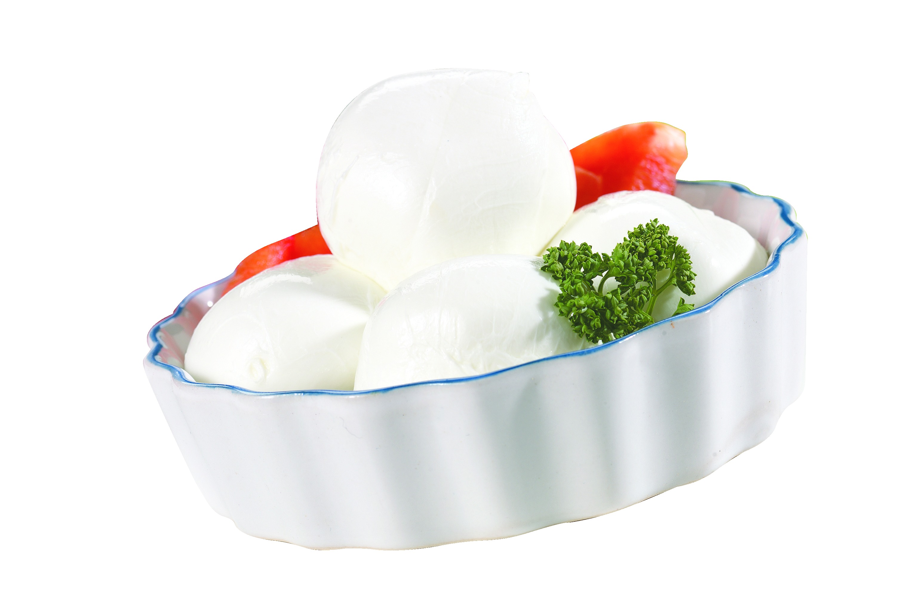 Terre d'Italia Mozzarella di bufala campana DOP 1040 g