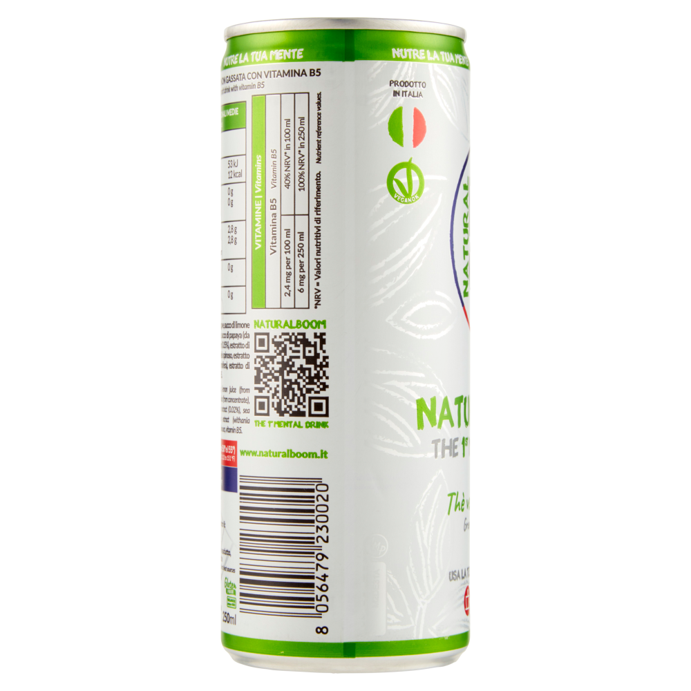 NATURALBOOM Thè verde e Zenzero 250 ml