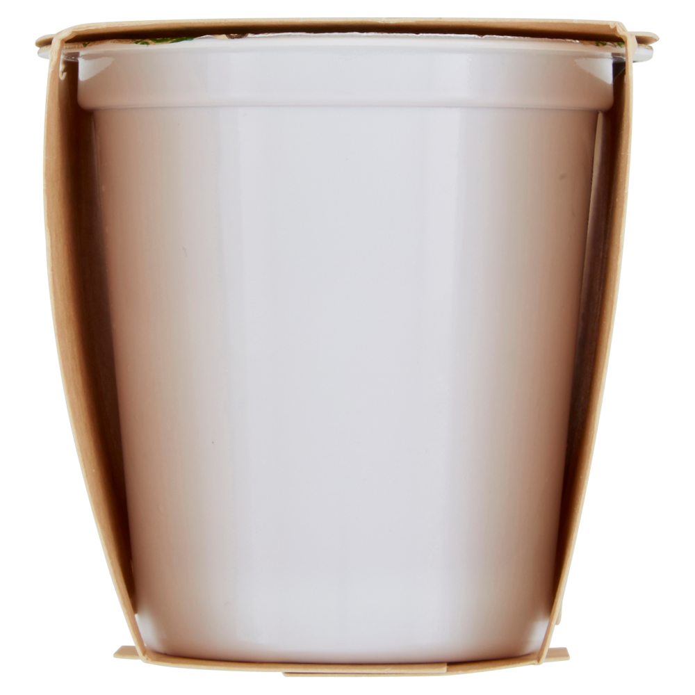 Carrefour Bio SoySì Mirtillo 2 x 125 g