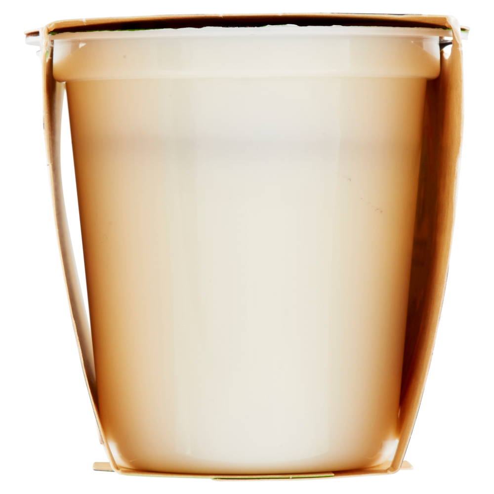 Centrale del Latte di Torino Tapporosso Yogurt Magro Cocco 2 x 125 g