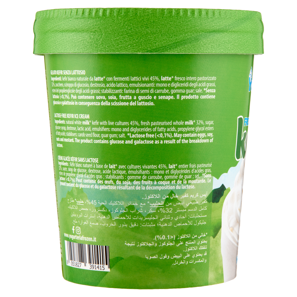 Yogurteria Frozen Yogurt Frozen kefir Naturale 250 g