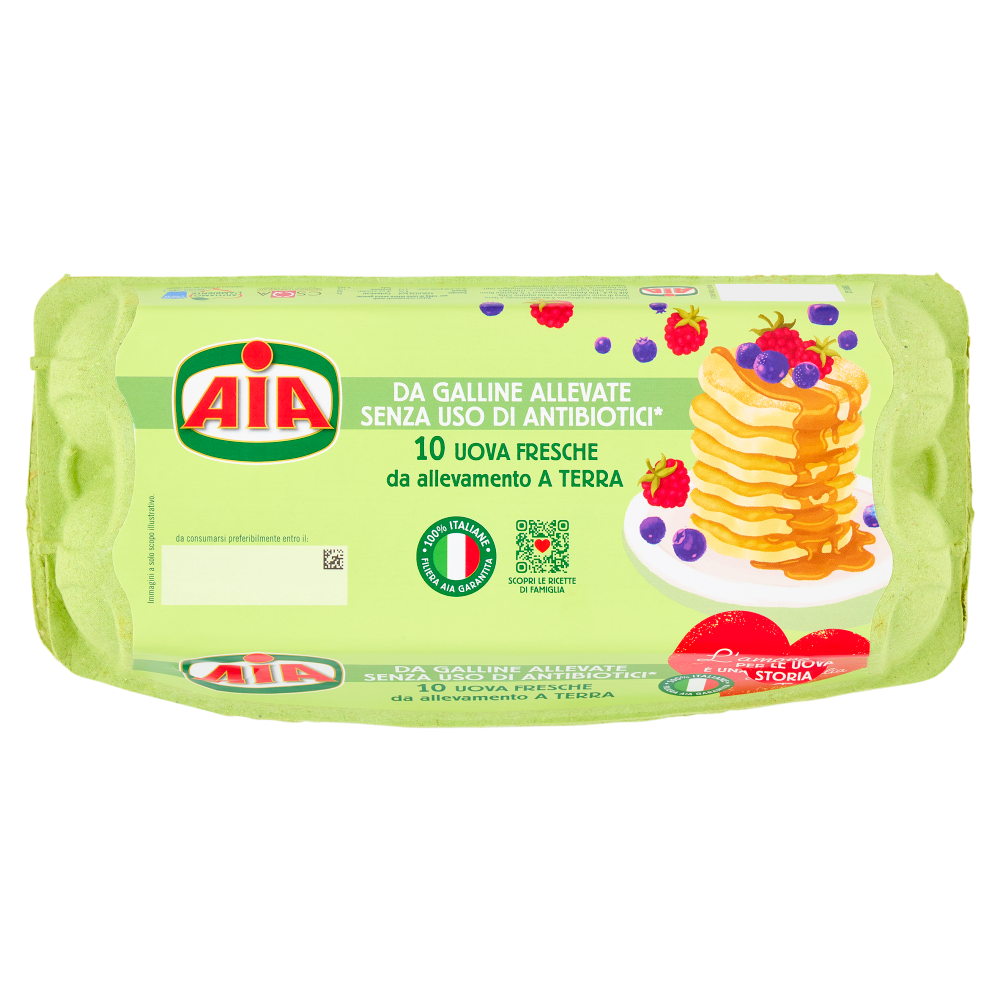 Aia 10 Uova Fresche da allevamento a Terra 530 g