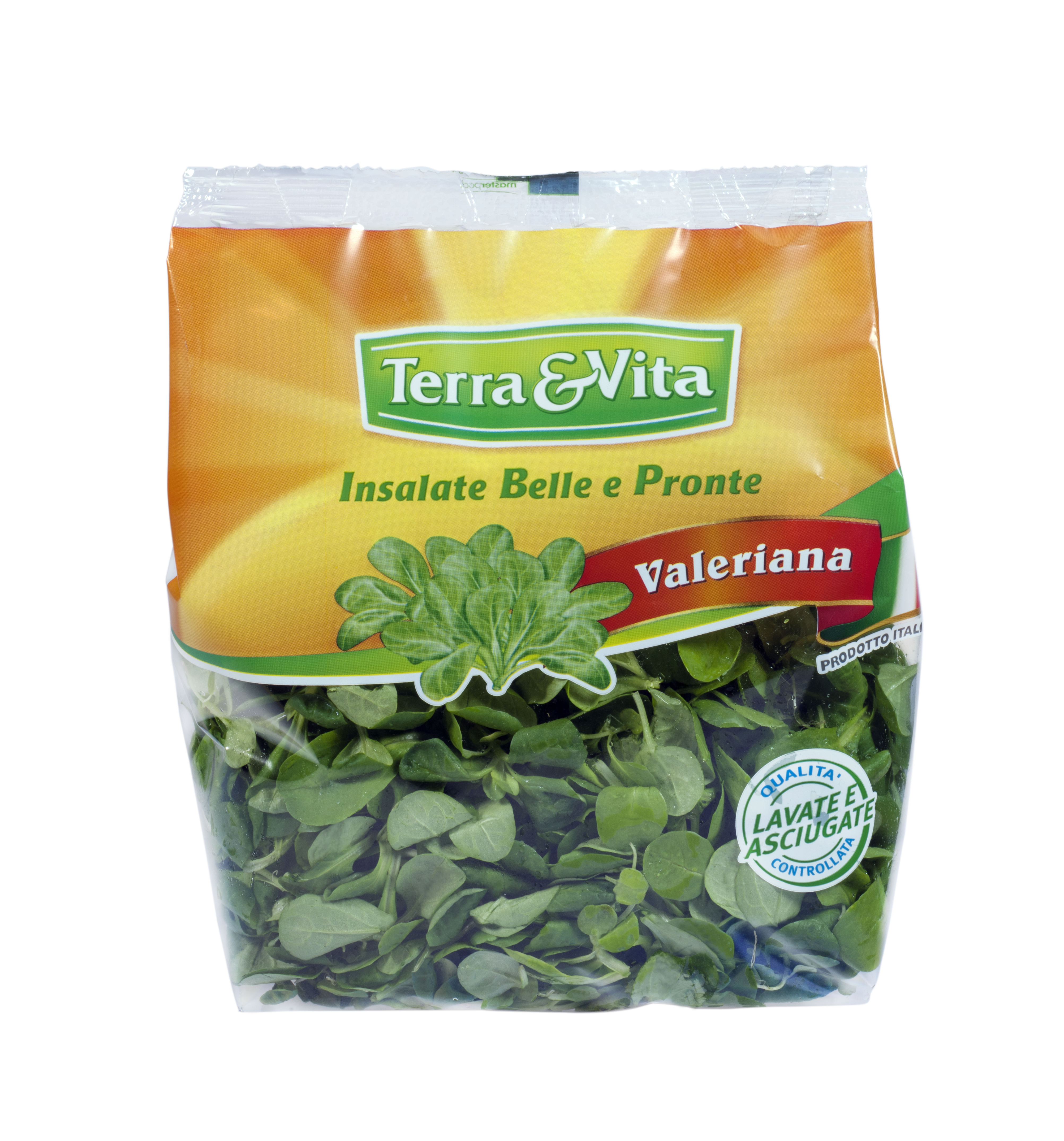 Valeriana Tagliata e Lavata