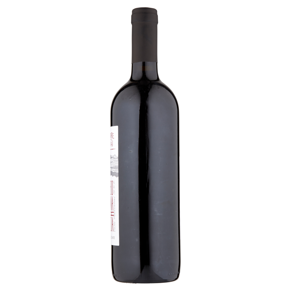 Terre del Mai Bonarda Colli Piacentini D.O.C. Frizzante 75 cl
