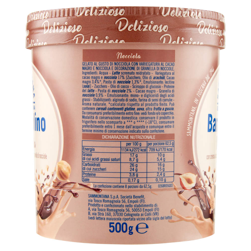Sammontana Barattolino Delizioso Nocciola 500 g