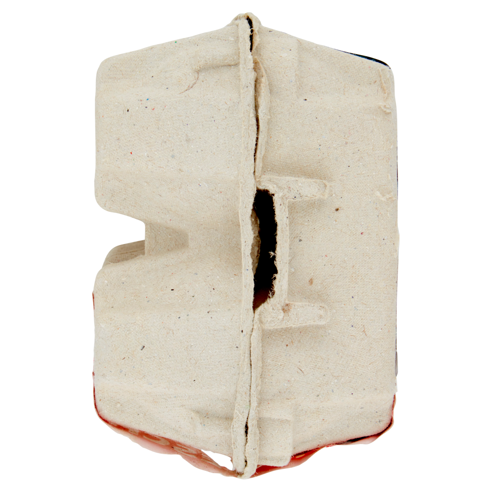 latte tigullio Fiordovo Uova da Allevamento a Terra Confezione da 6 Uova Fresche