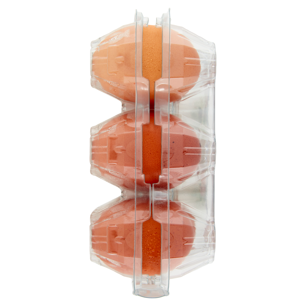 Coccodì Family 15 Uova Allevate a Terra 