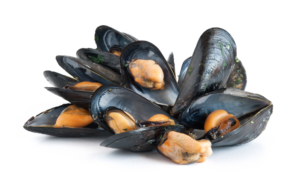 Filiera Qualit&agrave; Carrefour Cozze rete