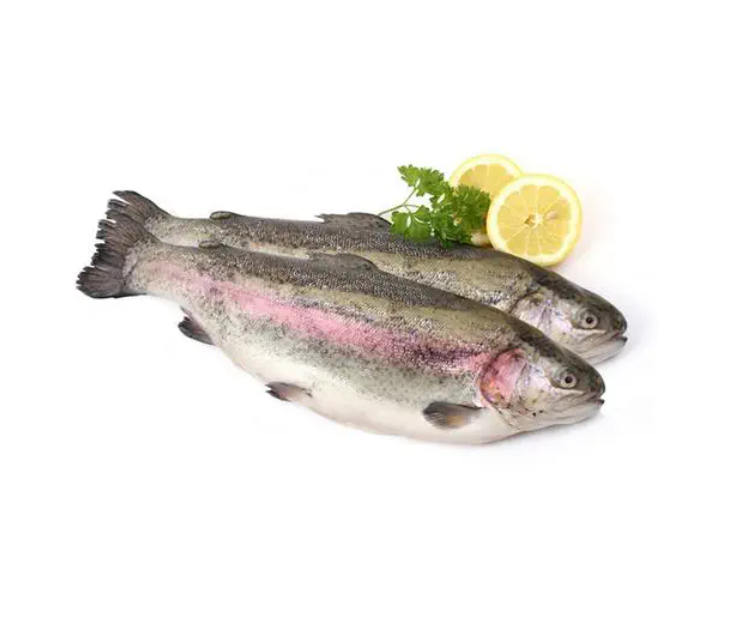 Trota salmonata iridea pulita