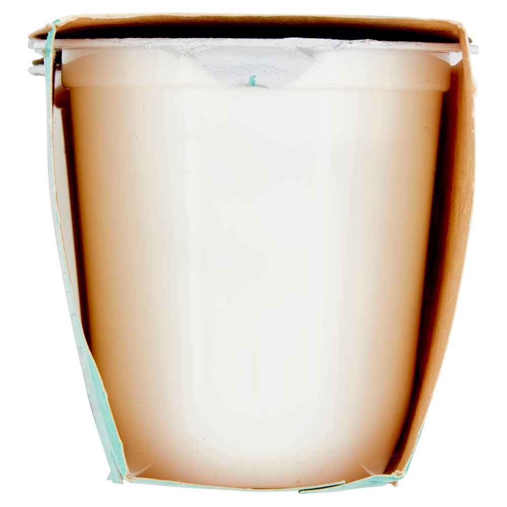 Granarolo Yogurt Cremoso al limone 2 x 125 g