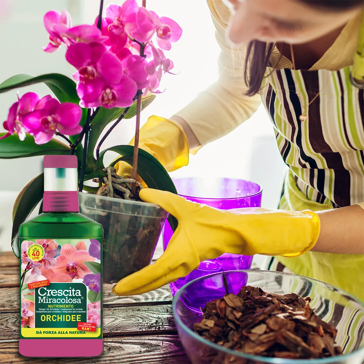 Crescita Miracolosa Nutrimento orchidee 200 ml