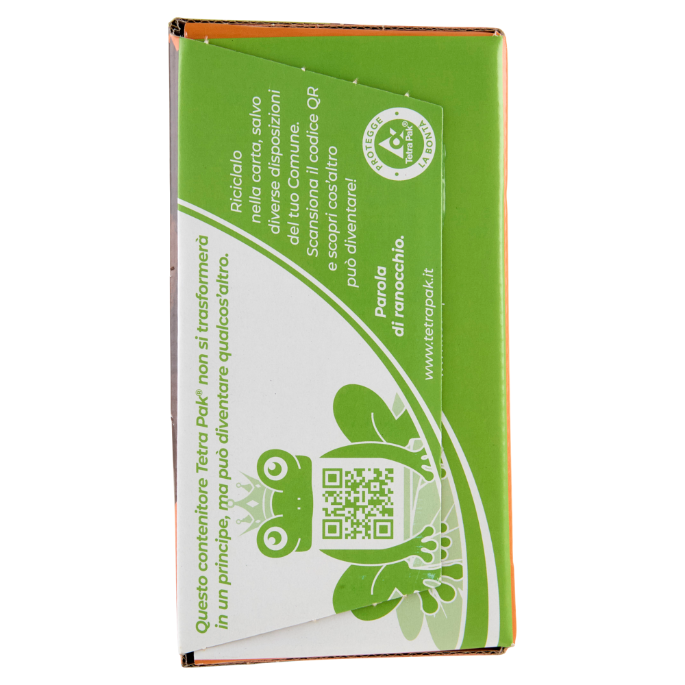 Valfrutta i Triangolini Albicocca Italiana succo e polpa Brik 12 x 100 ml