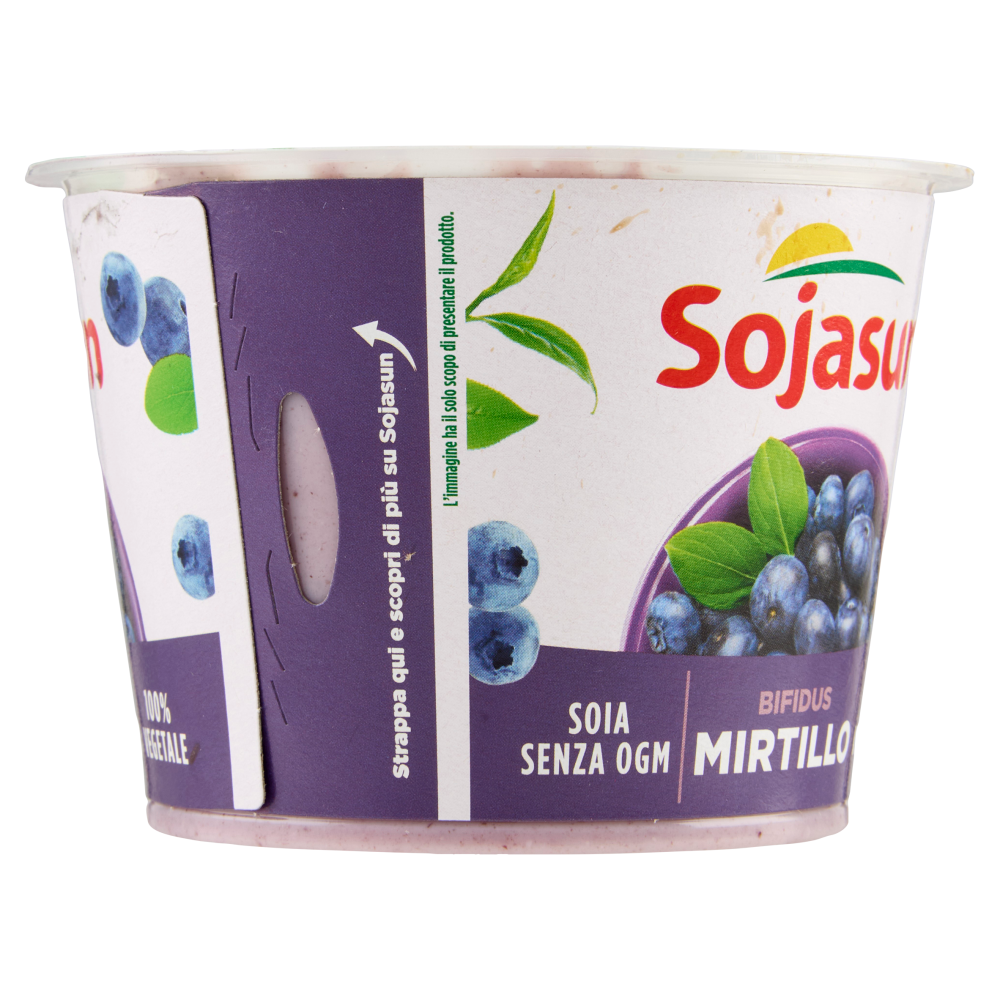 Sojasun Bifidus Mirtillo 250 g