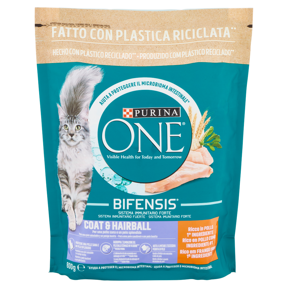 PURINA ONE Coat & Hairball Ricco in Pollo 800 g