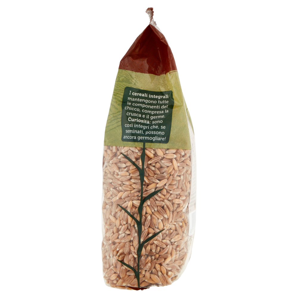 Colfiorito Integrale Farro 350 g
