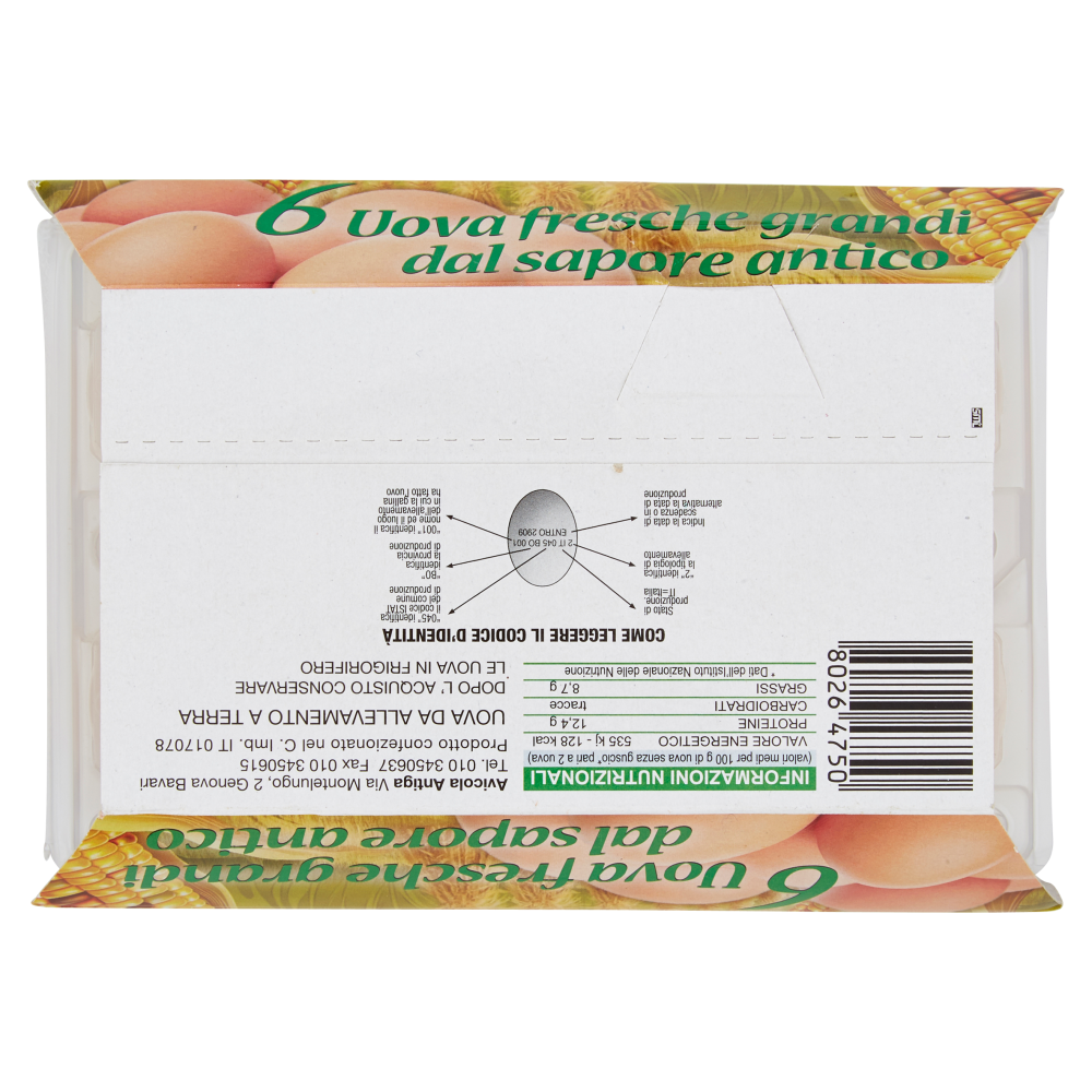 Antiga 6 Uova fresche grandi dal sapore antico