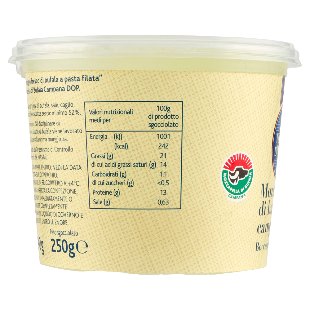Terre d'Italia Mozzarella di bufala campana DOP Bocconcini 250 g