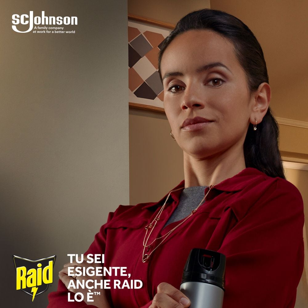 Raid Esca Formiche, Pronta all'Uso, Confezione da 1 Esca Insetticida per Uso in Spazi Interni ed Esterni