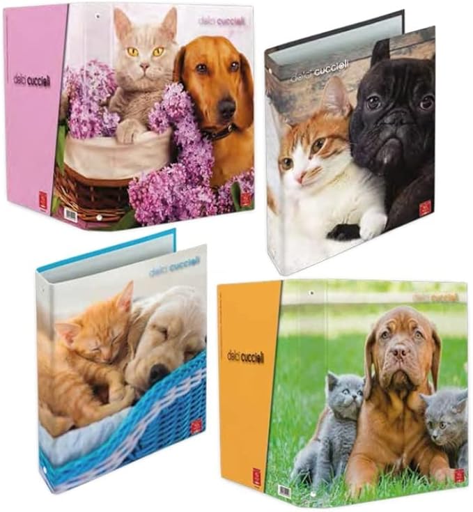 Pigna 8005235101548 raccoglitore ad anelli A4 Colori assortiti