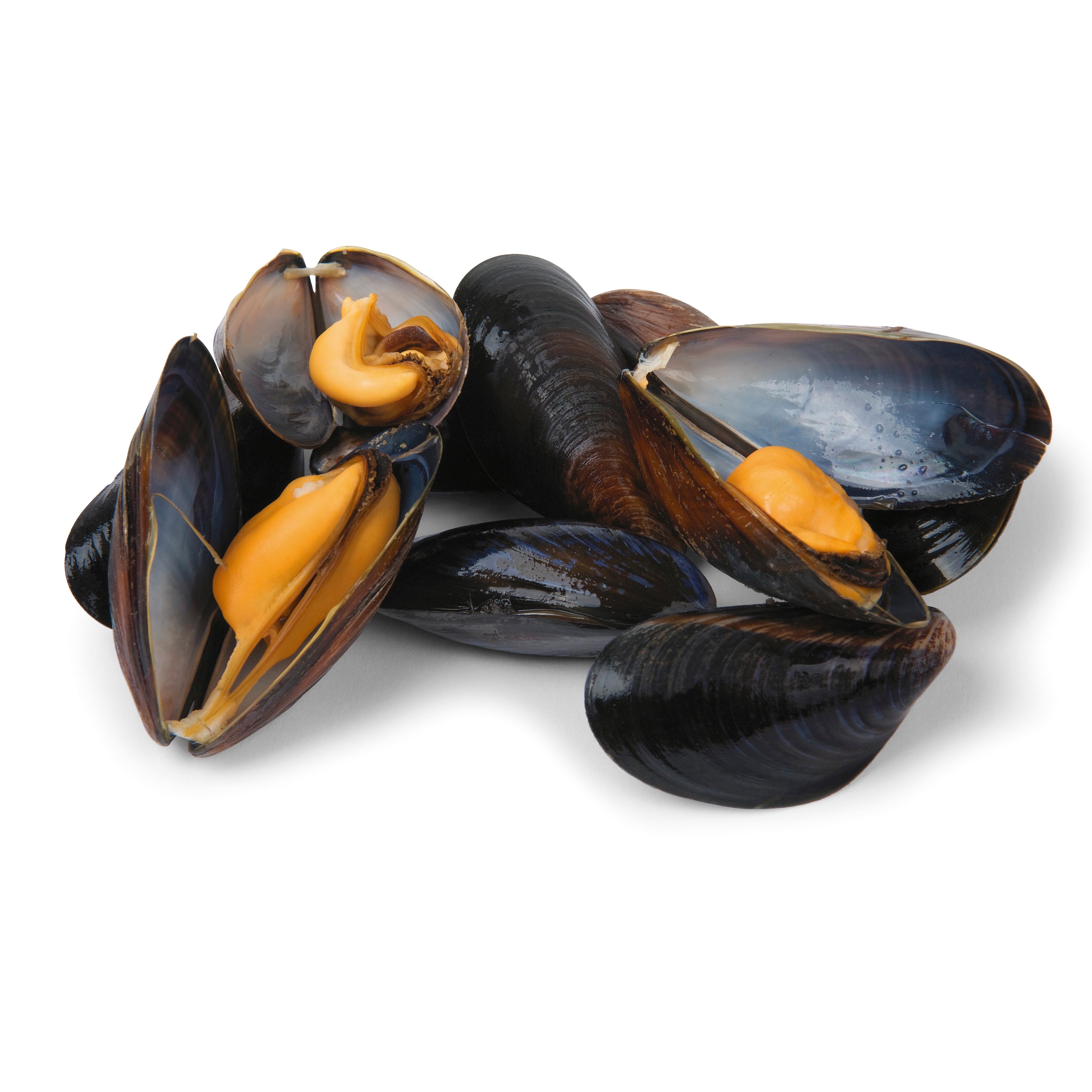 Cozze Estere 1 kg