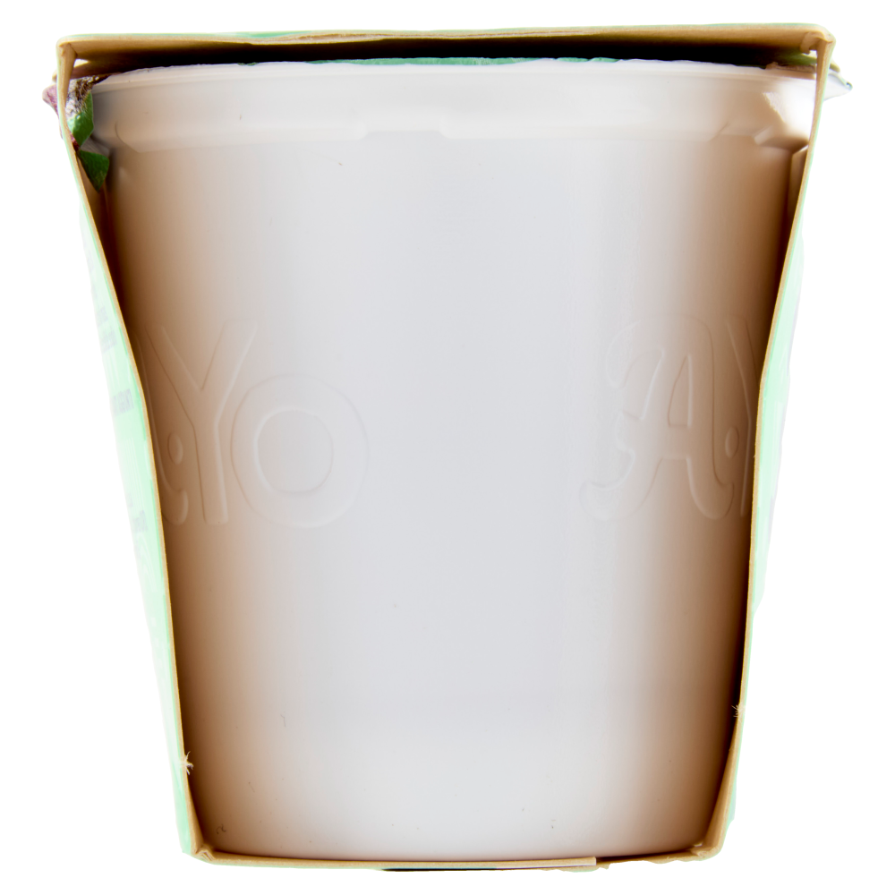 Arborea A-Yo Yogurt Zero Grassi Mirtillo in Pezzi 2 x 125 g