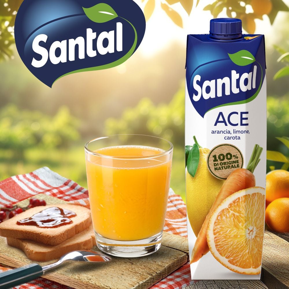 Santal Succo di frutta ACE 1000 ml
