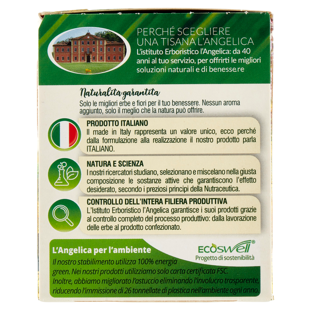 L'Angelica Le Tisane Drenante Active 18 Filtri 35,1 g