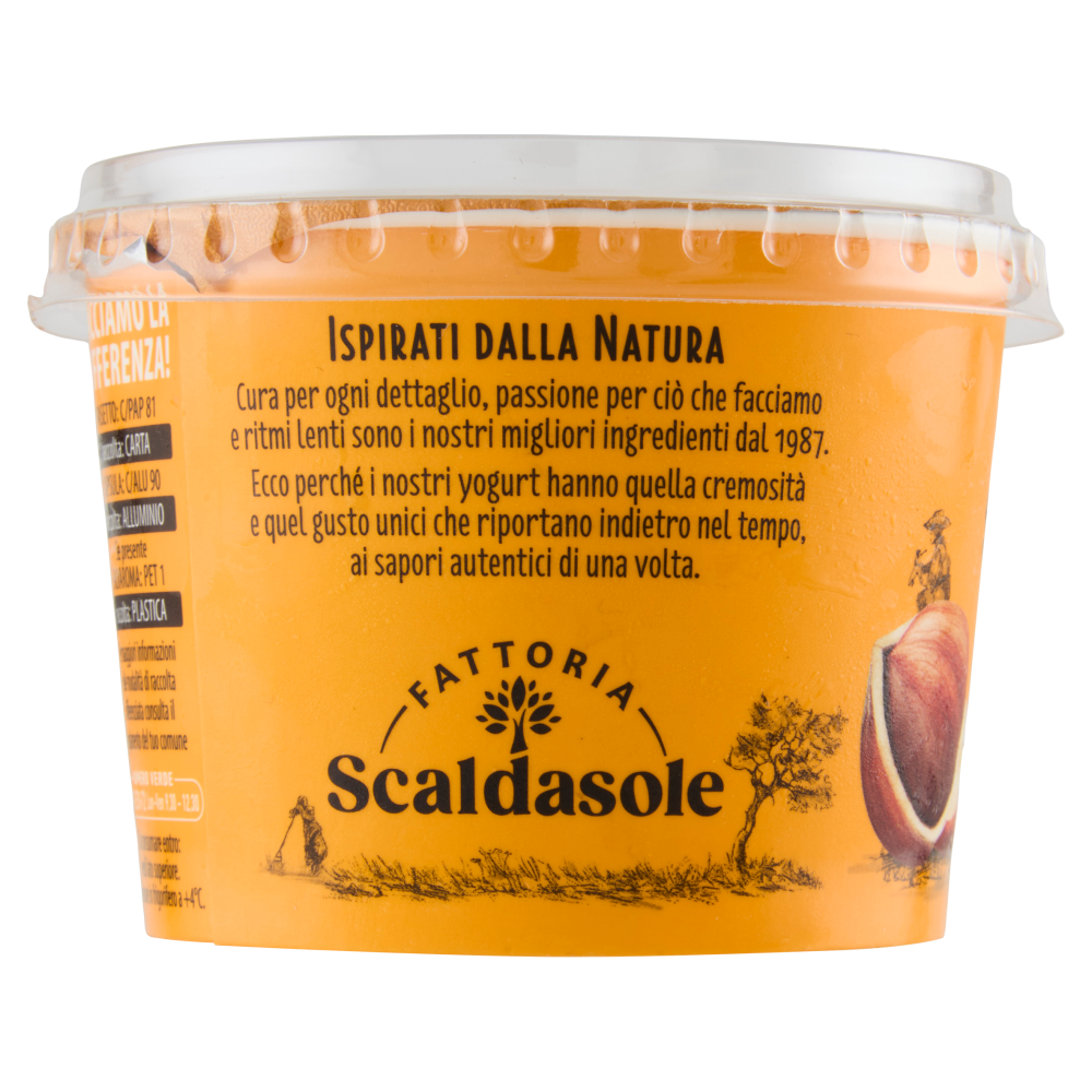 Fattoria Scaldasole Nocciola yogurt biologico 250 g
