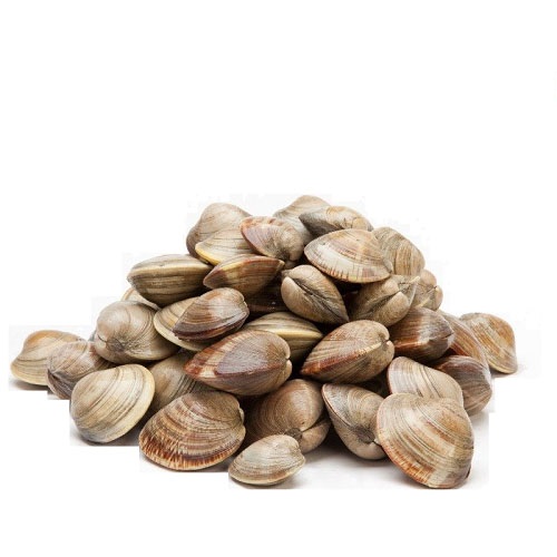 Vongole del Pacifico congelate sfuse