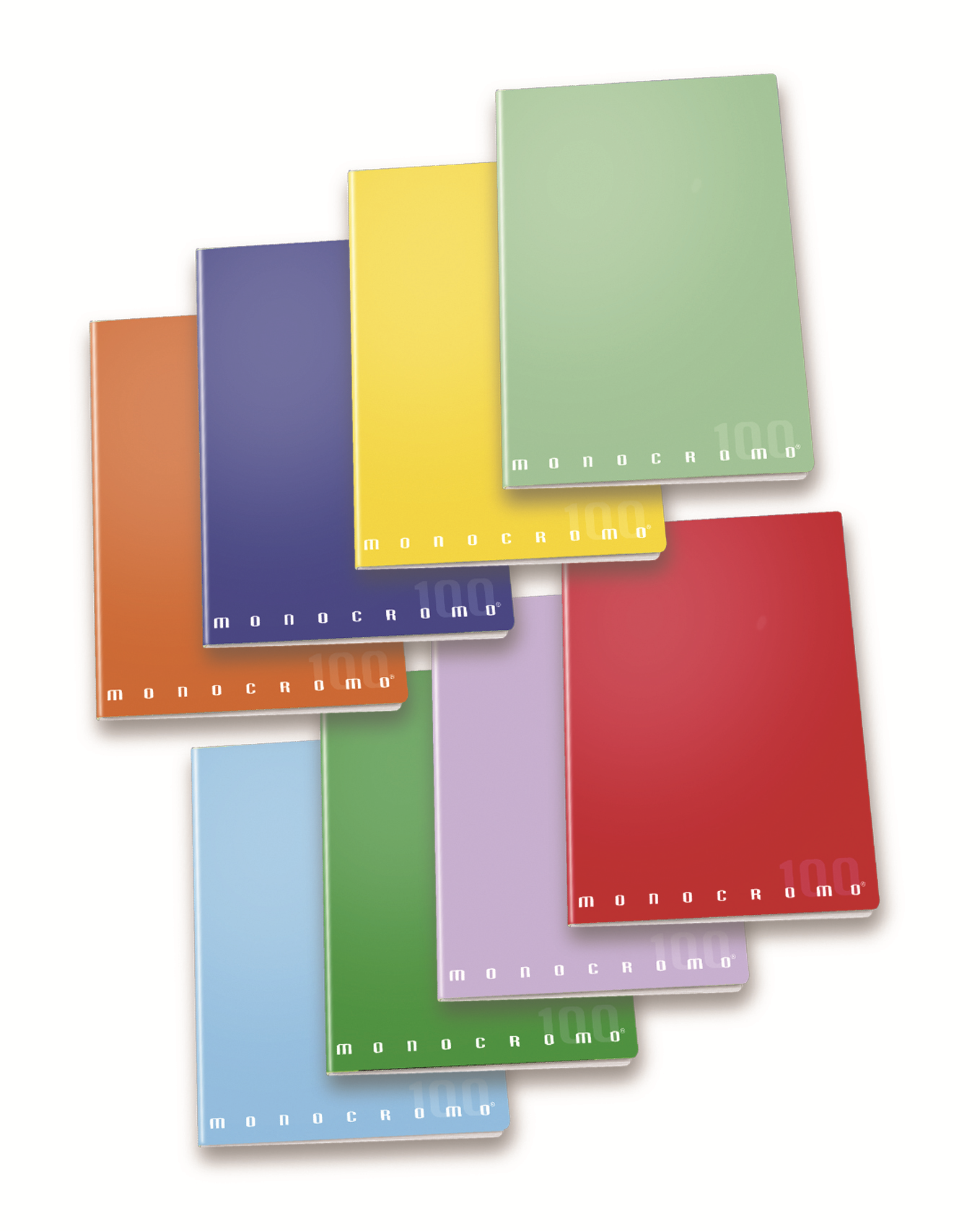 Pigna Maxi A4 Monocromo 100 - 38ff - Rig.1F