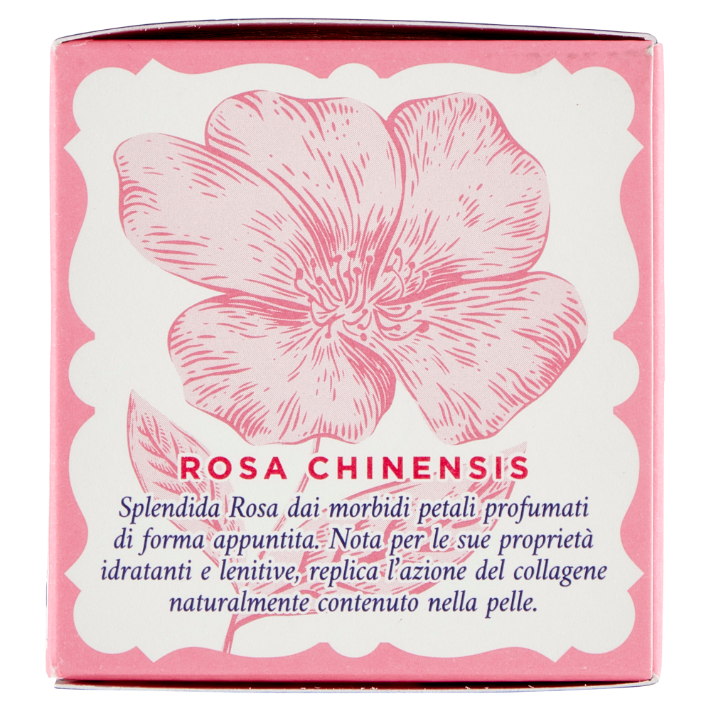 Acqua alle Rose Crema Antirughe Lenitiva 50 ml