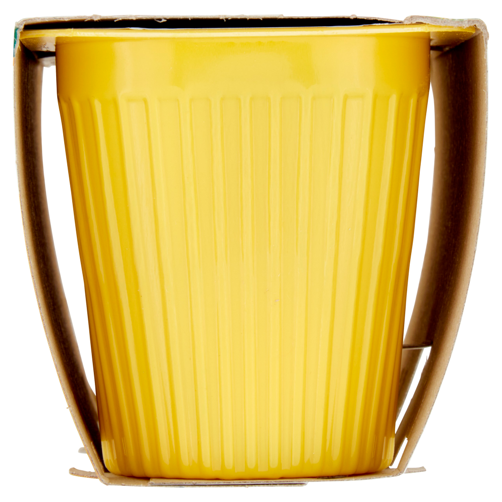 treValli i Dessert al Latte Budino Vaniglia del Madagascar 2 x 100 g