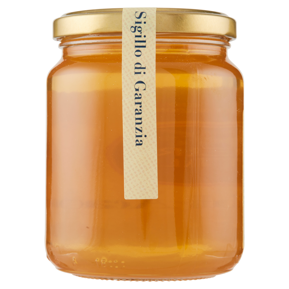 Terre d'Italia Miele di Acacia di Toscana 500 g