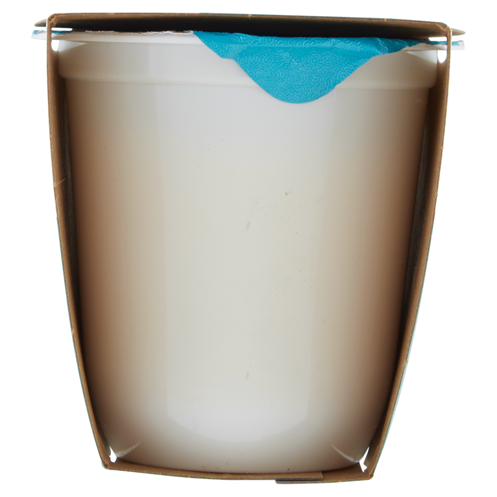 Granarolo 100% Vegetale Fatto con il Cocco Mango 2 x 125 g