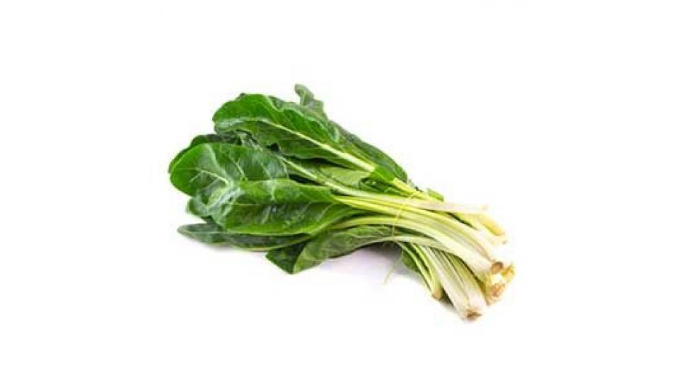 Bietina sfusa origine Italia