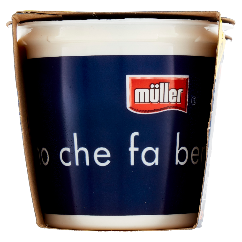 müller Këfir Pesca - Mango 2 x 125 g