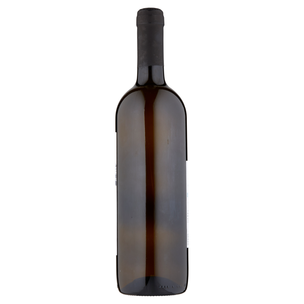 Terre del Mai Ortrugo dei Colli Piacentini D.O.C. Frizzante 75 cl