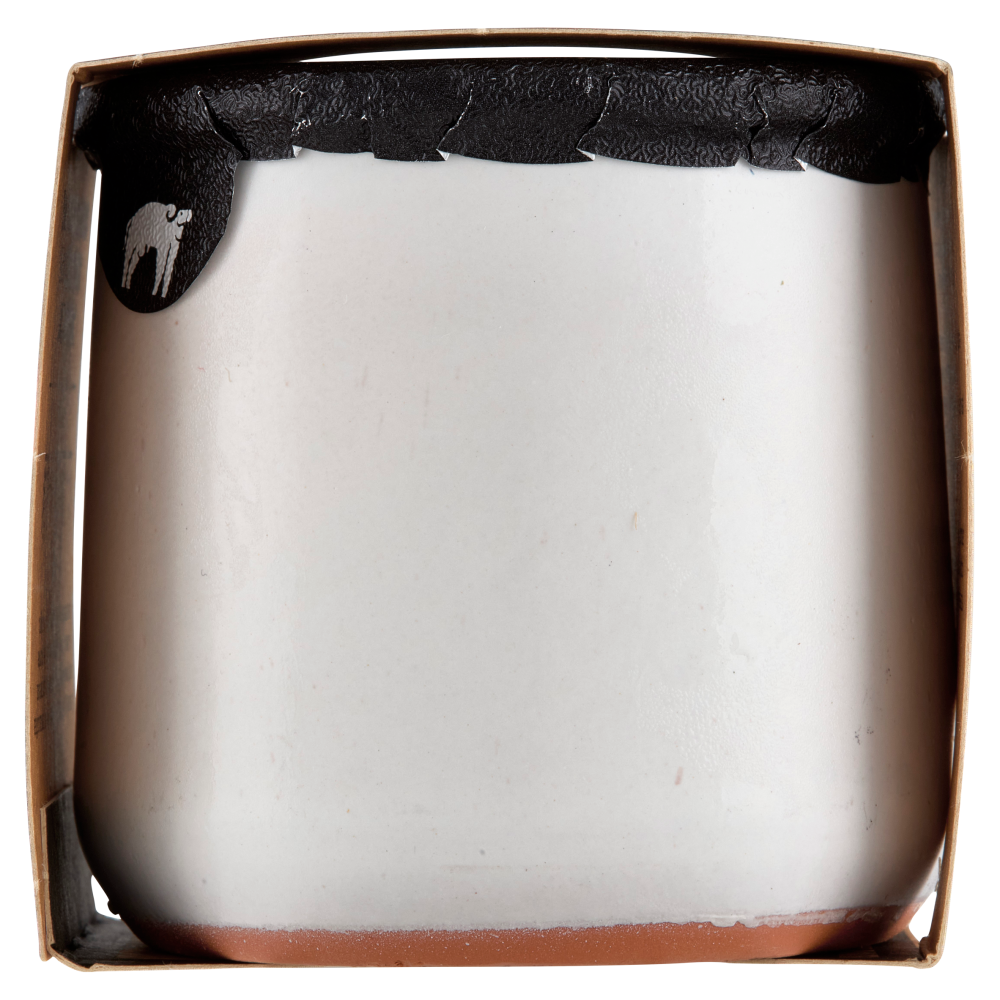 Latteria San Salvatore Dessert Cremoso Cacao e Nocciola 120 g