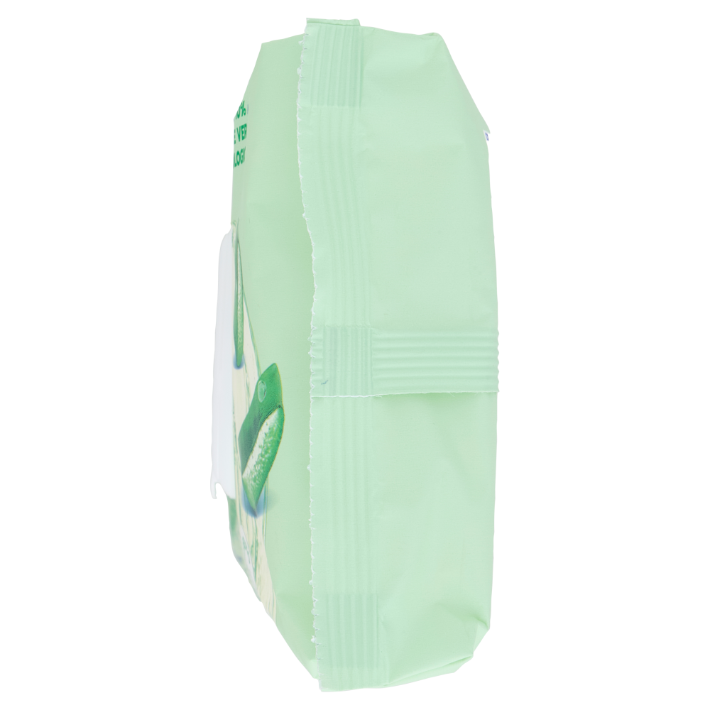 Fresh & Clean Salviettine Milleusi Igienizzanti Natural 60 pz