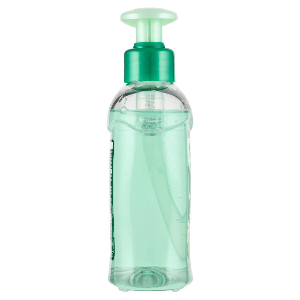 Malizia Sapone Liquido con Antibatterico tè verde e menta 300 mL