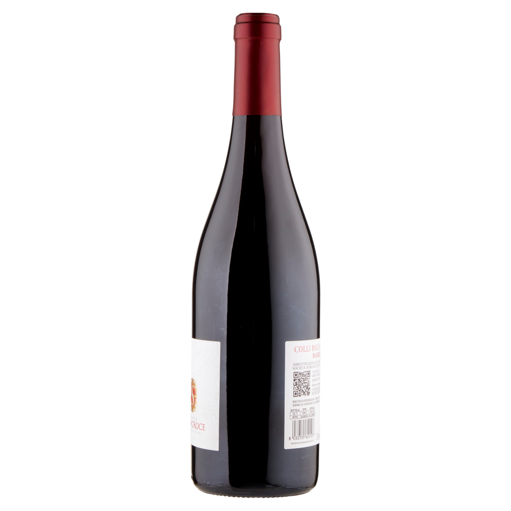 Tenuta Santa Croce Barbera Colli Bolognesi DOC 75 cl