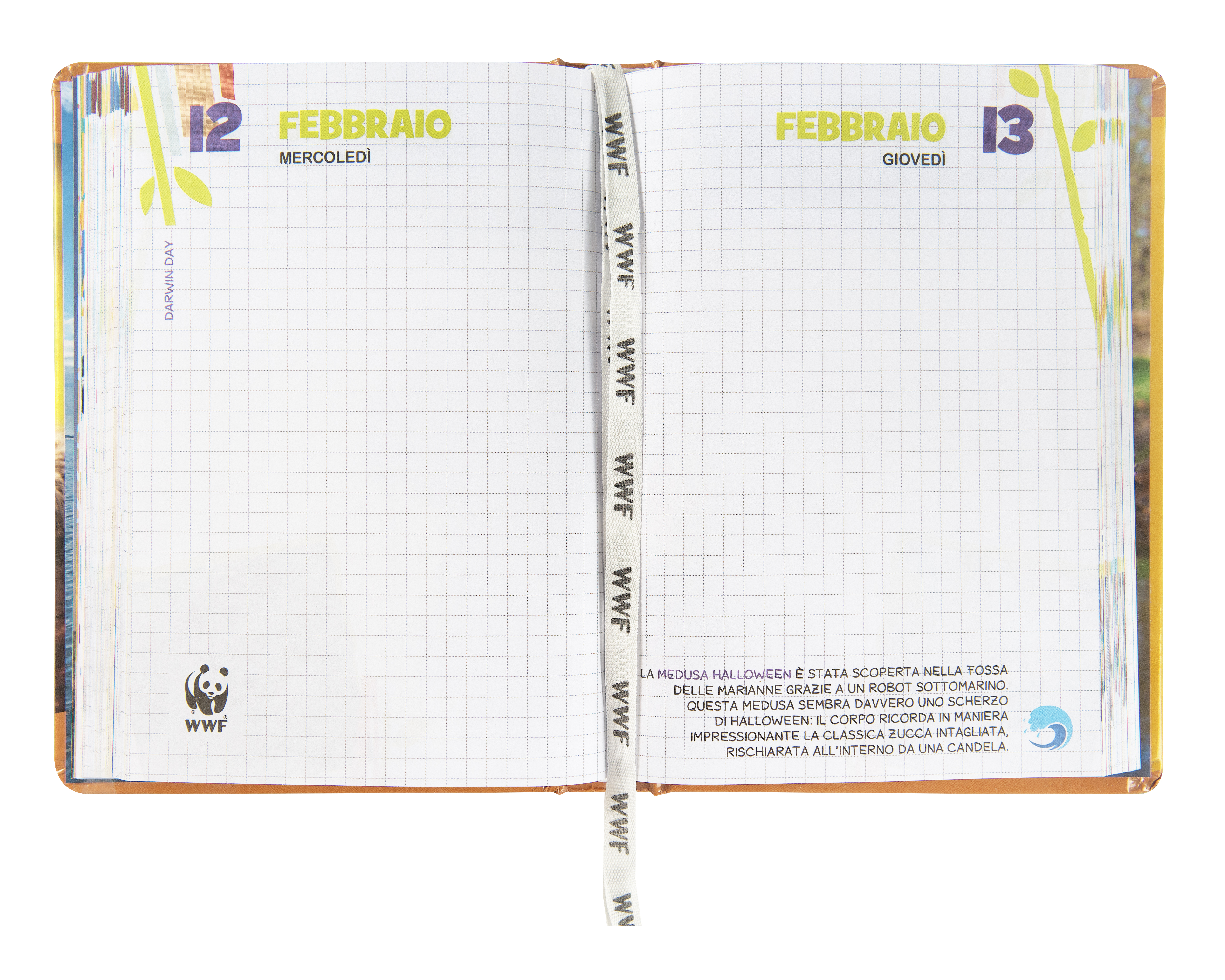 Carrefour 8058263229227 Diario Diario scolastico