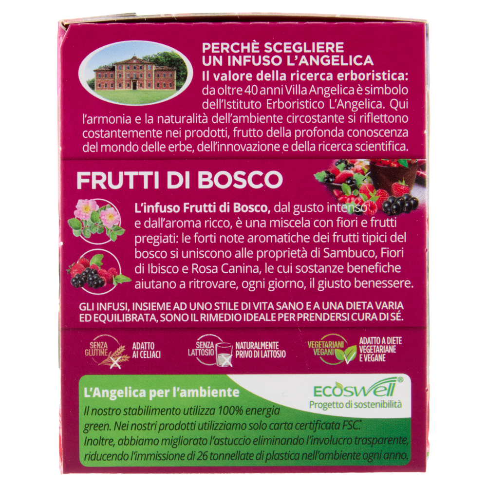 L'Angelica Passione di Frutta Frutti di Bosco 15 Filtri 28,5 g
