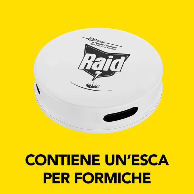 Raid Esca Formiche, Pronta all'Uso, Confezione da 1 Esca Insetticida per Uso in Spazi Interni ed Esterni