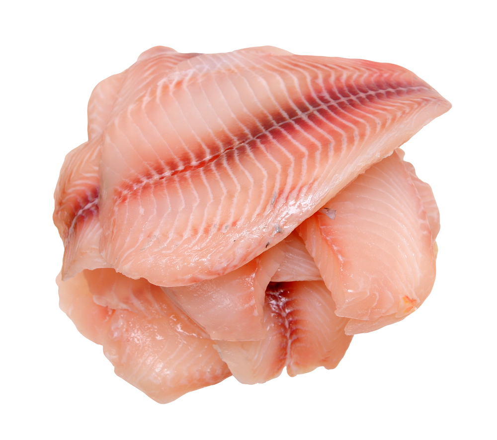 Filetto di Gallinella