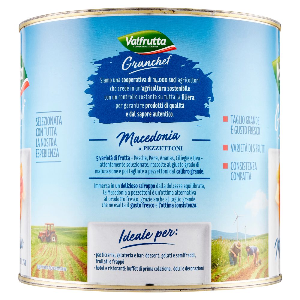 Valfrutta Granchef Macedonia a Pezzettoni 2650 g