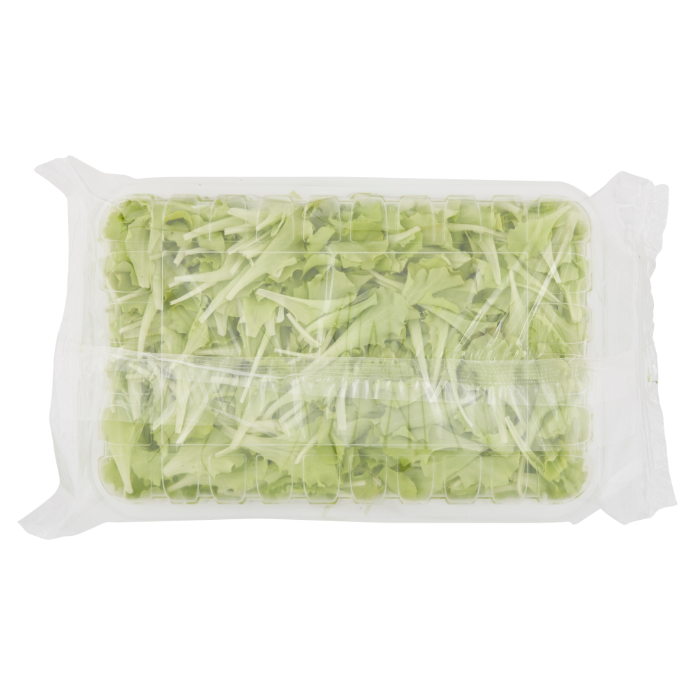 Insalatina 150 g