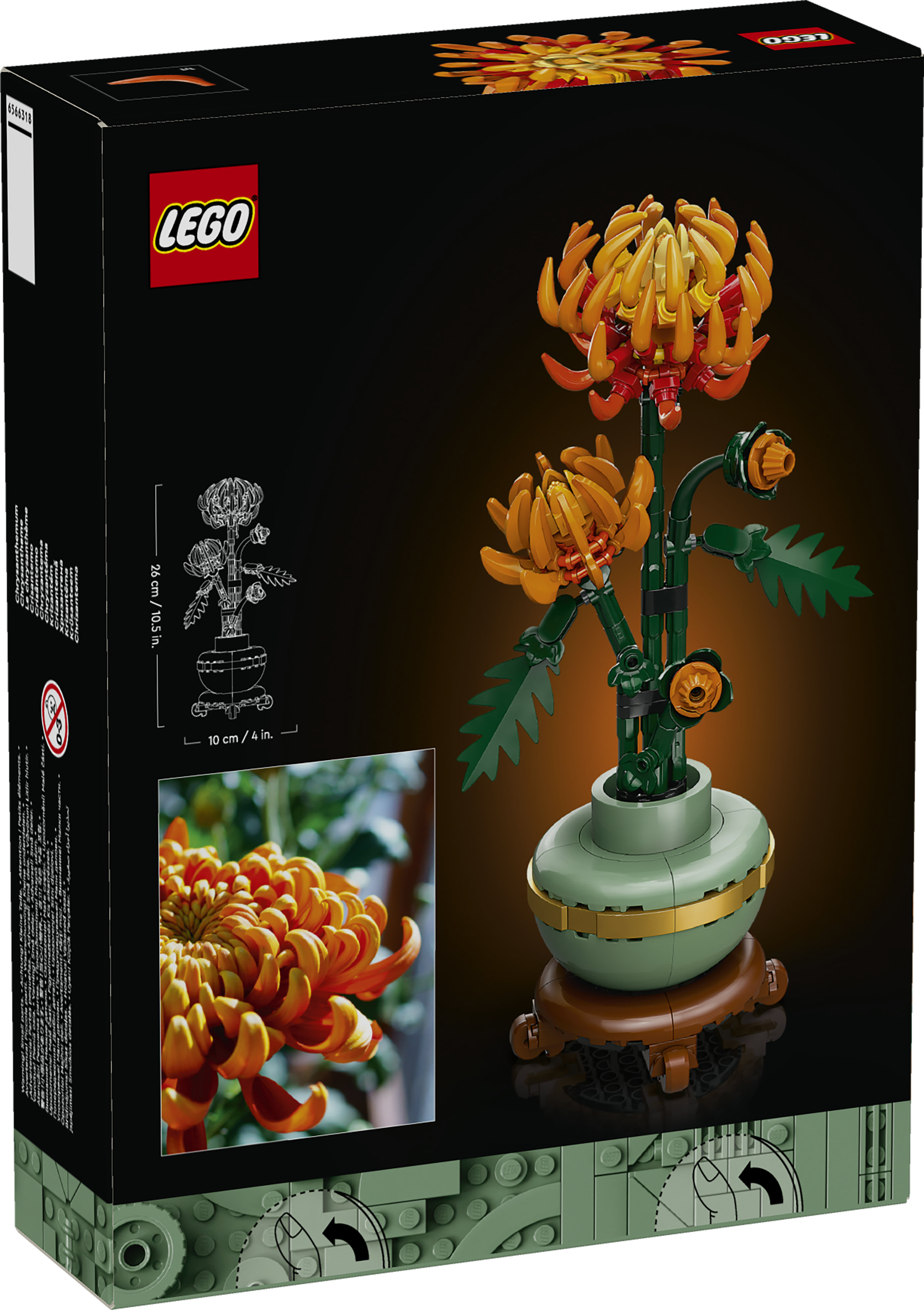 LEGO Botanicals 10368 Crisantemo, Fiore Finto da Costruire per Adulti, Idea Regalo Creativa di Compleanno per Donna e Uomo