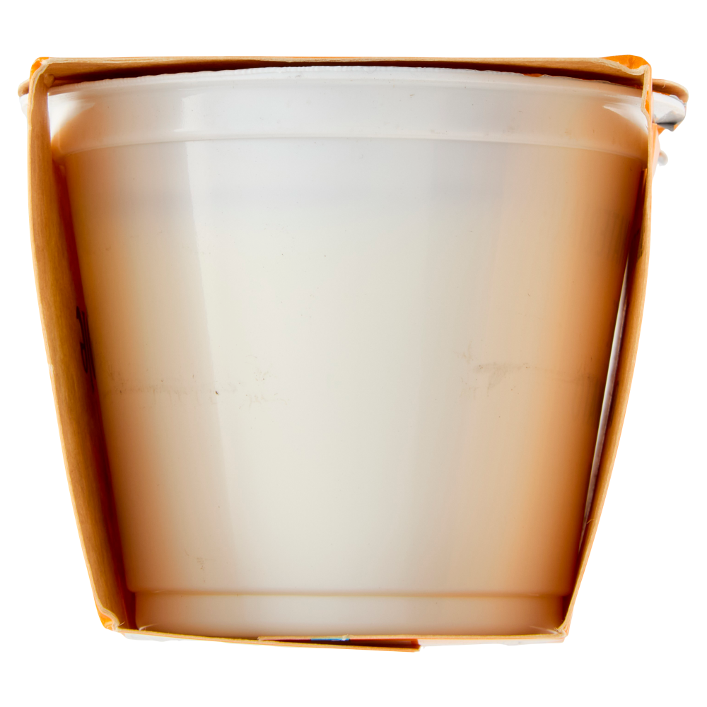 Fattoria Scaldasole Bianco Intero yogurt biologico 2 x 115 g